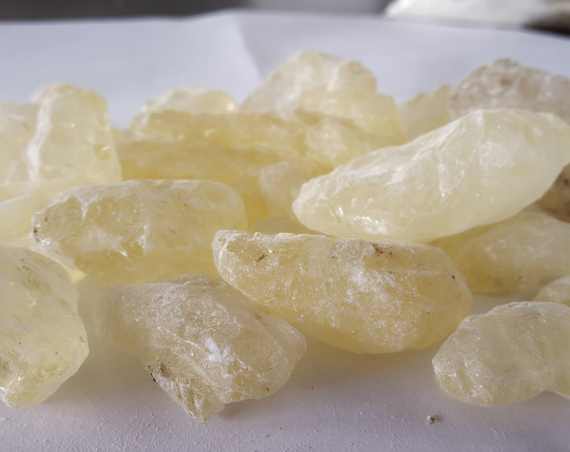 Gum Damar